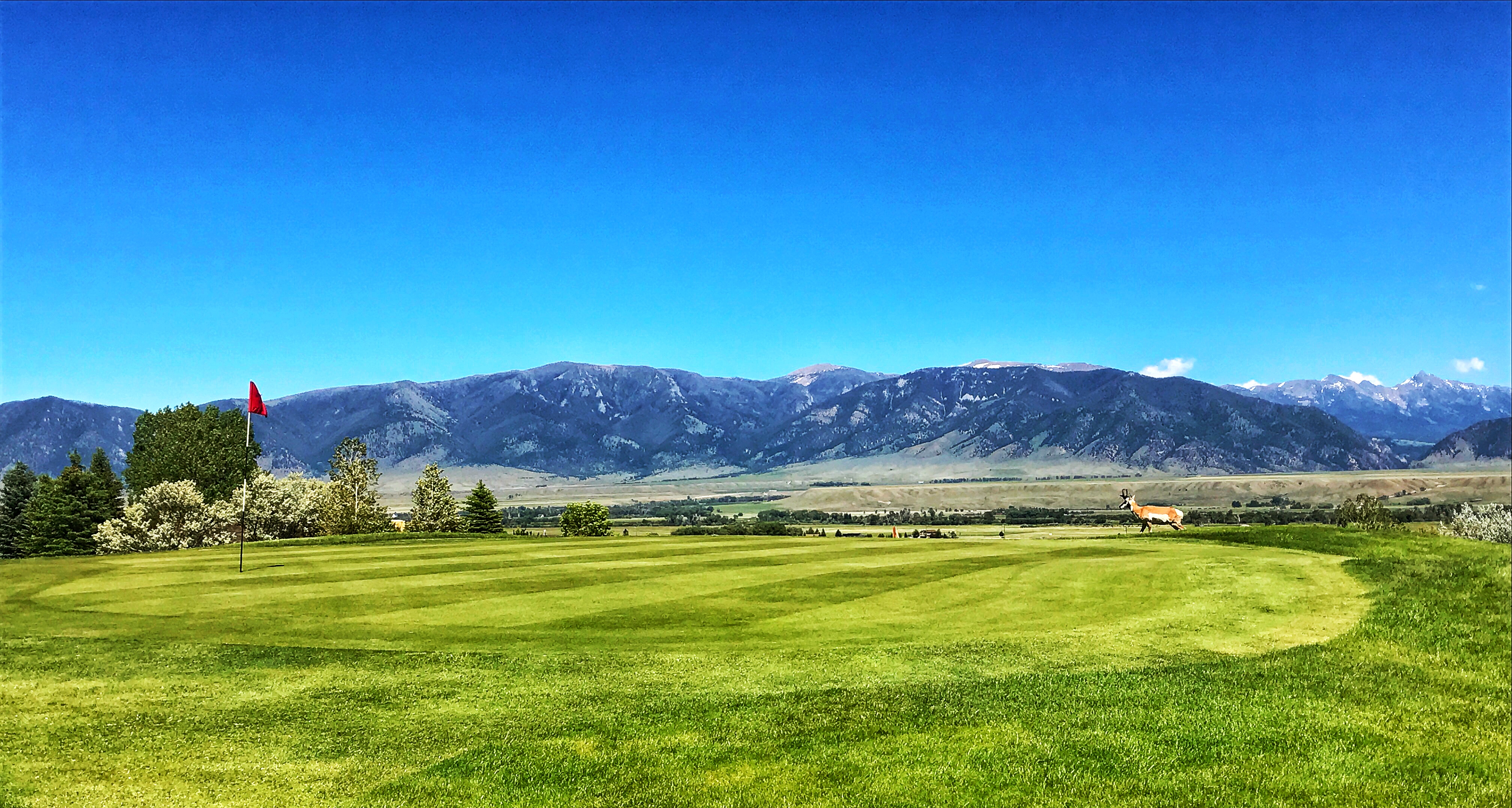Course Photos Madison Meadows Golf Course